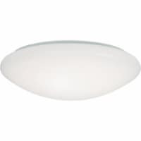 Metalux 15 Led Fm Slclrtm Light FM15WRCCR