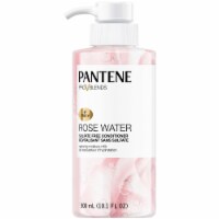 Pantene Pro-V Blends Rose Water Conditioner Perspective: Main