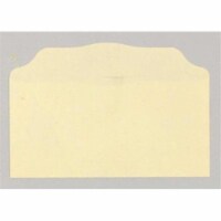 B & H Publishing Group 464595 Offering Envelope - Blank Buff