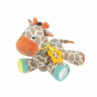 Carter's Developmental Giraffe Plush