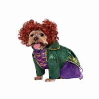 Rubies 656772 Hocus Pocus Winifred Pet Costume, Large