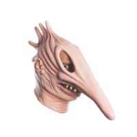 BuySeasons  Adult Beetlejuice Adam Mask