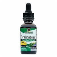 Nature's Answer Alcohol Free Brainstorm™ Herbal Extract