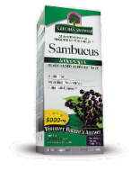 Nature's Answer Sambucus Dietary Supplement Perspective: Main