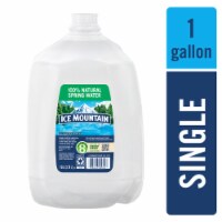 Ice Mountain 100% Natural Spring Bottled Water Perspective: Main