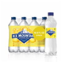 Ice Mountain Lemon Flavored Sparkling Bottled Water Perspective: Main