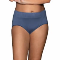 Vanity Fair Intimate Brief Panty Perspective: Main