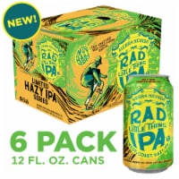 Sierra Nevada Dank Little Thing Hazy IPA Craft Beer