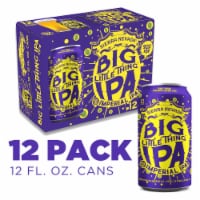 Sierra Nevada Brewing Co. Big Little Thing IPA Beer