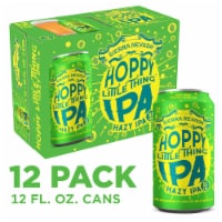 Sierra Nevada Hoppy Little Thing Hazy IPA Craft Beer Perspective: Main