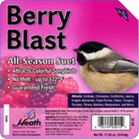 Heath Manufacturing® Berry Blast All-Season Suet