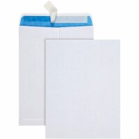 Quality Park Envelope 41415R