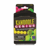 Educational Insights® Kanoodle® Genius Game