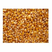 Bulk Grains 100 percent Organic Yellow Popcorn Bulk 5 Lbs - SPu309278