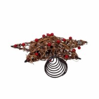 Kurt Adler (#H4201) Natural Brown Star With Berries Treetop, 12