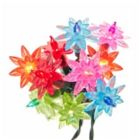 Christmas Multi Color Flower Lights Plastic String Light Ul4335m