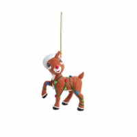Rudolph with Christmas Lights Ornament Perspective: Main