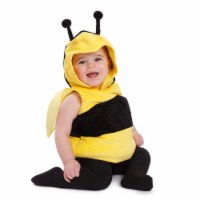 Dress Up America 868-6-12 Fuzzy Little Bee Costume for 6 to 12 Months Baby, Black & Yellow