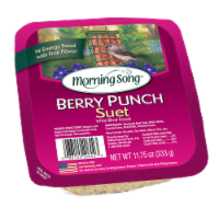 Morning Song Berry Punch Suet