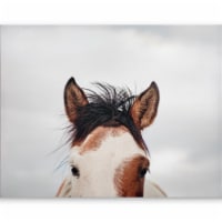 JLA Home It's in the Eyes Printed Canvas