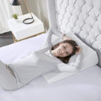 Flexapedic by Sleep Philosophy Memory Foam Wedge Pillow, White