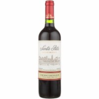 Santa Rita Reserva Cabernet Sauvignon Chile Red Wine Perspective: Main