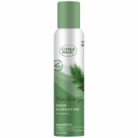 Citrus Magic® Winter Wonder Green Odor Eliminating Air Freshener Spray Perspective: Main