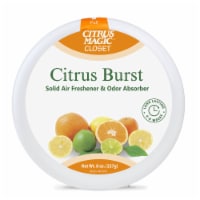 Citrus Magic® For Closets Citrus Burst Solid Air Freshener & Odor Absorber Perspective: Main