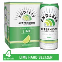 Endless Summer Lime Hard Seltzer Perspective: Main