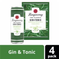 Tanqueray London Dry Gin & Tonic