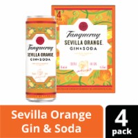 Tanqueray Sevilla Orange Gin & Soda