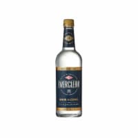 Everclear Grain Alcohol Perspective: Main