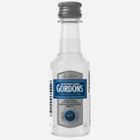 Gordon's Vodka Perspective: Main