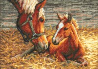 Dimensions Gold Petite Counted Cross Stitch Kit 7 X5 -Good Morning (18 Count)