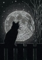 Dimensions Counted Cross Stitch Kit 5 X7 -Black Moon Cat (14 Count)