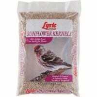 Lebanon Seaboard Sunflower Kernels