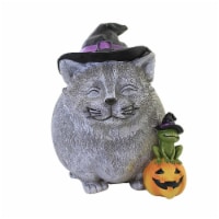 Home & Garden Witch Cat Pudgy Pal Polyresin Halloween Pumpkin Frog 135018
