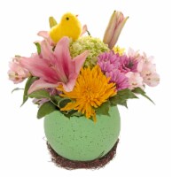 Just Hatched Arrangement - Assorted Perspective: Main