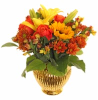 Harvest Delight - Assorted