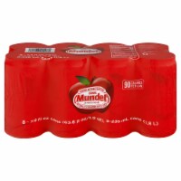 Sidral Mundet® Apple Soda Perspective: Main
