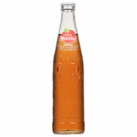 Sidral Mundet Apple Soda 12 fl oz Perspective: Main