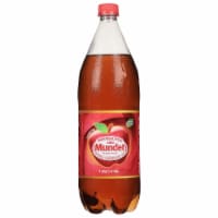 Sidral Mundet Apple Soda 1.58 qt Perspective: Main