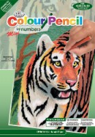Mini Color Pencil By Number Kit 5 X7 -Jungle Tiger