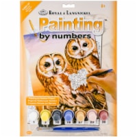 Royal & Langnickel(R) Small Paint By Number Kit 8.75 X11.75 -Tawny Owls