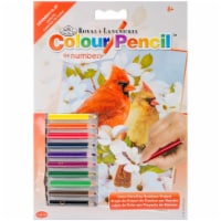 Mini Color Pencil By Number Kit 5 X7 -Cardinal Pair