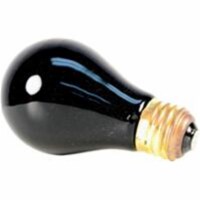 Bradley Caldwell 66026 Hermit Headquarters Hermit Crab Night Time Bulb- Black