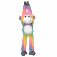 DDI 2348128 22 in. Hanging Monkey Plush, Rainbow Sherbert - Case of 24