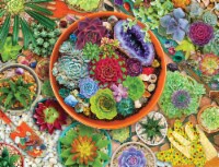 Springbok 500 Piece Jigsaw Puzzle Succulent Garden - Made in USA
