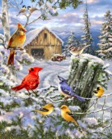 Springbok's 1000 Piece Jigsaw Puzzle Frosty Morning Song - Made in USA