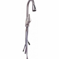 Ez-Flo Eastman Gooseneck Pull Out,Brushed Nickel,EZ-FLO  10389
